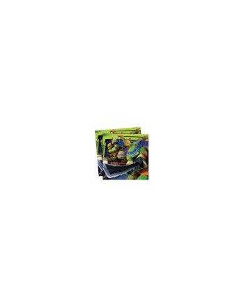 LOTE DE 7 1 PACK DE CUMPLEANOS TORTUGAS NINJA LOTE DE 7 1 PACK DE CUMPLEANOS TORTUGAS NINJA