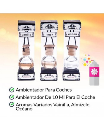LOTE 12 FRAGANCIA AMBIENTADOR PARA COCHE