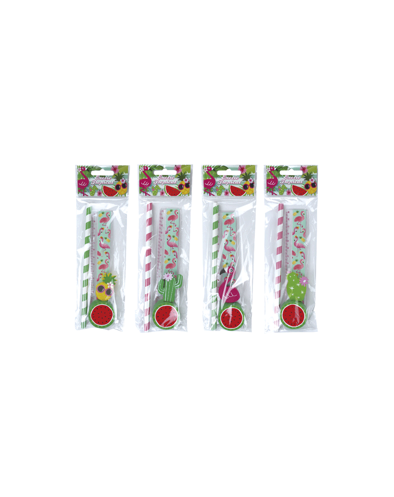 OFERTA LOTE DE 500 SET 4 PCS PAPELERiA TROPICAL EXOTIC